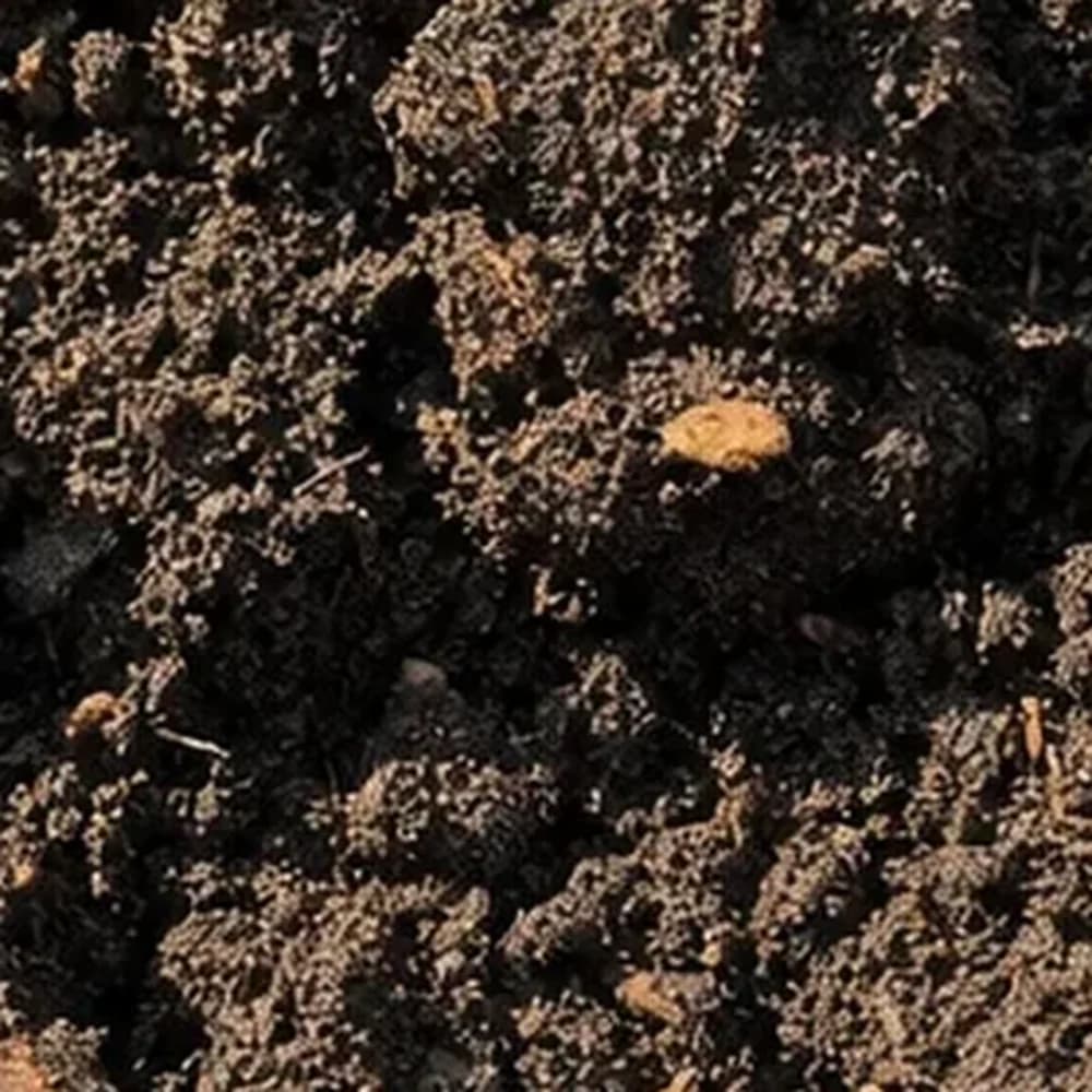 Garden Soil